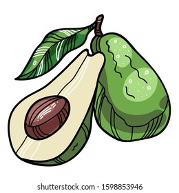 Two isolated vector avocados with a seed and a leaf