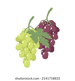 Two isometric bunches of white and red grapes with leaves 3d vector illustration