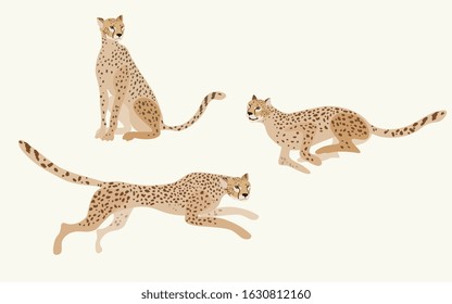 Two jaguars on a white background vector illustration. Picture with exotic african animals. All objects are grouped and isolated. EPS 10