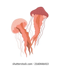 Two jellyfish in flat style isolated on white background. Marine animals vector illustration