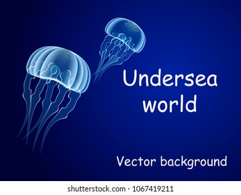 Two Jellyfishes on blue background. Space for text. Vector illustration.