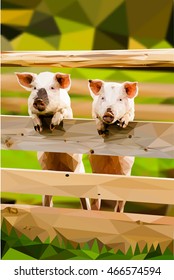 Two joyful pigs