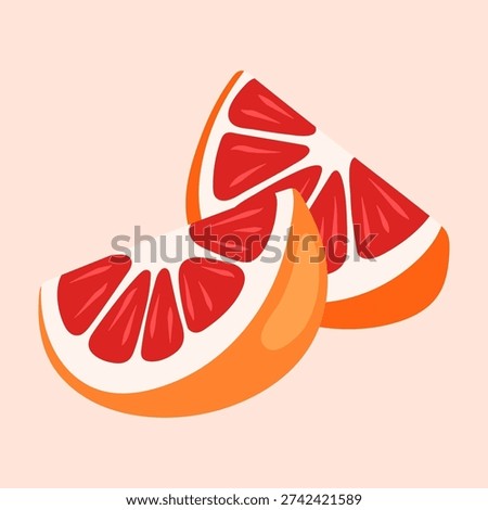 Two Juicy Grapefruit Wedges vector illustration isolated on a light background