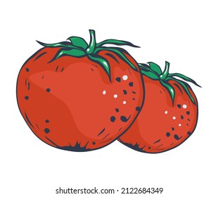 Two juicy red tomatoes. Vegetable Tomato isolated on white background. Flat vector style. EPS 10