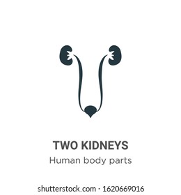 Two kidneys glyph icon vector on white background. Flat vector two kidneys icon symbol sign from modern human body parts collection for mobile concept and web apps design.