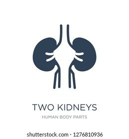 two kidneys icon vector on white background, two kidneys trendy filled icons from Human body parts collection, two kidneys vector illustration