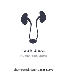 two kidneys outline icon. isolated line vector illustration from human body parts collection. editable thin stroke two kidneys icon on white background