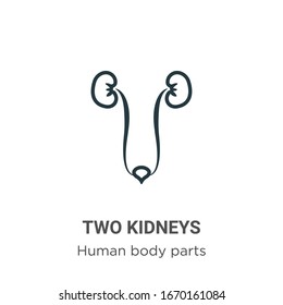 Two kidneys outline vector icon. Thin line black two kidneys icon, flat vector simple element illustration from editable human body parts concept isolated stroke on white background