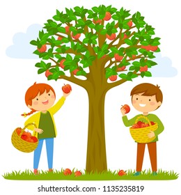 Two kids picking apples from the tree.