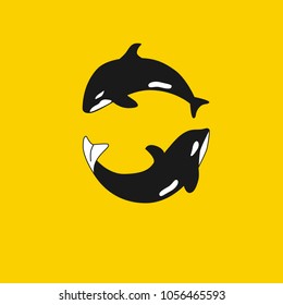 Two killer whales circle