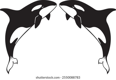 Two Killer Whales jumping. Orcinus Orca. Vector Illustration.