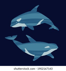 Two killer whales. Ocean animals in trendy flat style. Hand drawn marine mammals with decorative dry brush texture. Vector illustration isolated on dark background.