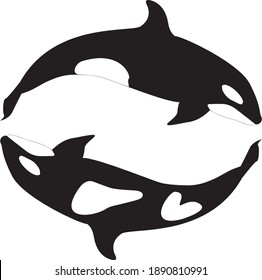 Two Killer Whales Orca Sea Mammal linear on white background