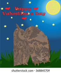 Two kissing owls under the stars, vector