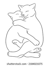 Two kittens cuddle   sleep together  Line art sketch sleeping cats hug each other  Pets friendly concept
