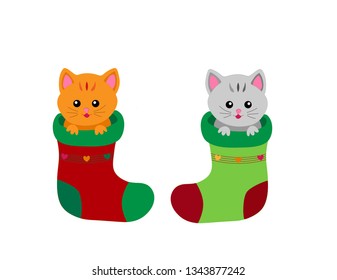 two kittens sit in different colored socks