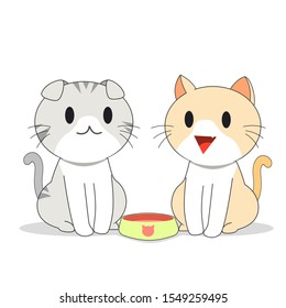 two kittens talking to each other