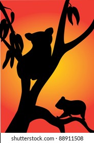 two koala in a tree with sunset background