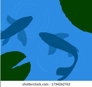 two koi carp in pond, carps silhouette in flat color, vector