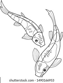 Two Koi Carps. Vector Graphics. Black Outline.