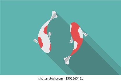 Two koi fish are swimming closely.