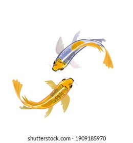 Two koi fish are swimming with their heads facing each other.Vector illustration isolated on white background.