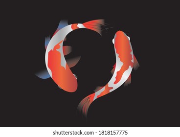Two koi A koi is a fish that is considered one of the other auspicious fish. Popular to raise auspiciousness.