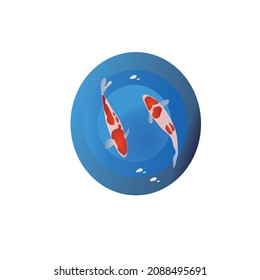 two koi fish vector illustration in the water
