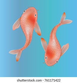 Two koi fishes