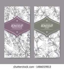 Two labels with Boswellia sacra aka frankincense and Commiphora myrrha aka common myrrh sketch on elegant lace background. Great for traditional medicine, perfume design, cooking or gardening.