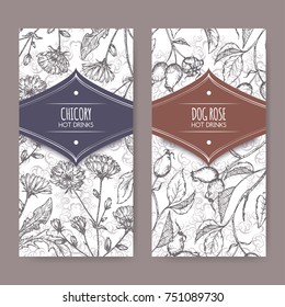 Two labels with Cichorium intybus aka common chicory and Rosa canina aka dog rose sketches. Hot drinks collection. Great for cafe, bars, tea ads.