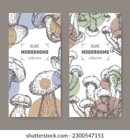 Two labels with cyclocybe aegerita aka poplar mushroom anad Boletus edulis aka porcini mushroom sketch. Edible mushrooms series.