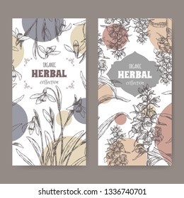 Two labels with Digitalis lanata aka woolly foxglove and Galanthus nivalis aka snowdrop sketch. Green apothecary series. Great for traditional medicine, or gardening.