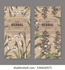 Two labels with Digitalis lanata aka woolly foxglove and Galanthus nivalis aka snowdrop color sketch. Green apothecary series. Great for traditional medicine, or gardening.