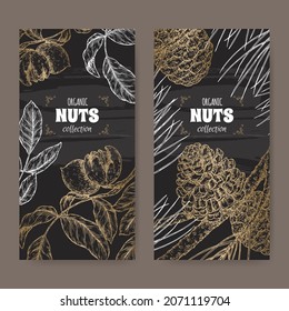 Two labels with Juglans regia aka walnut tree and Pinus pinea aka stone pine branch and nuts sketch on black. Culinary nuts series. Great for traditional medicine, cooking or gardening.