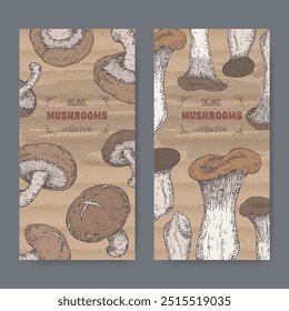 Two labels with Lentinula edodes aka shiitake and Pleurotus eryngii aka king oyster mushroom color sketch. Edible mushrooms series. Great for cooking, traditional medicine, gardening.