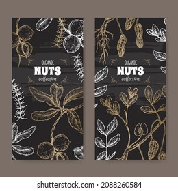 Two labels with Macadamia tetraphylla aka macadamia and Arachis hypogaea aka peanut branch and nuts sketch on black. Culinary nuts series. Great for traditional medicine, cooking or gardening.
