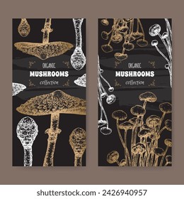 Two labels with Macrolepiota procera aka parasol mushroom and Flammulina filiformis aka enokitake mushroom sketch on black. Edible mushrooms series. Great for cooking, traditional medicine, gardening.
