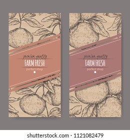 Two labels with mandarin and grapefruit sketch. Placed on original cardboard texture. Great for store and packaging design.