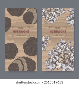 Two labels with Tuber melanosporum aka black truffle and Tremella fuciformis aka snow fungus color sketch. Edible mushrooms series. Great for cooking, traditional medicine, gardening.