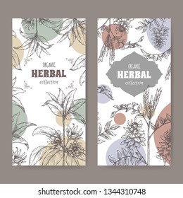 Two labels wuth Illicium verum aka star anise or badiane and Glycyrrhiza glabra aka liquorice sketch. Green apothecary series. Great for traditional medicine, or gardening.