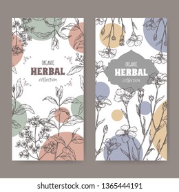 Two labels wuth Lawsonia inermis aka henna tree and Linum usitatissimum aka common flax sketch. Green apothecary series. Great for traditional medicine, or gardening.