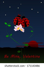 Two ladybirds in love by night on flowers - happy valentine`s day