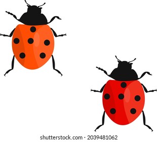 Two ladybugs, illustration, vector on white background.