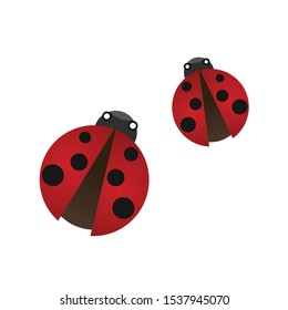 Two ladybugs isolate on white background