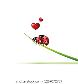 two ladybugs make love on a blade of grass vector illustration EPS10