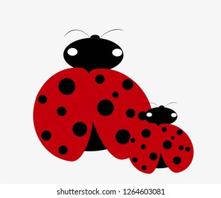Two ladybugs on a white background.