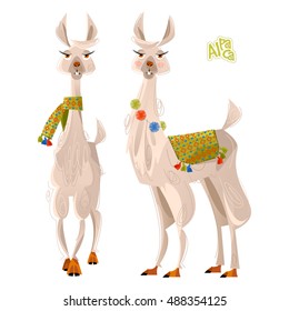 Two lamas. Alpaca. Vector illustration. 