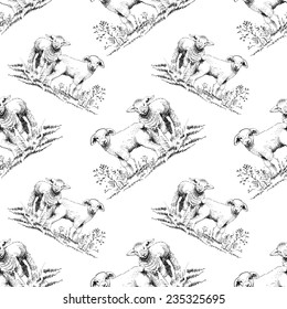 Two lambs on the field sketch seamless pattern on white background vector illustration