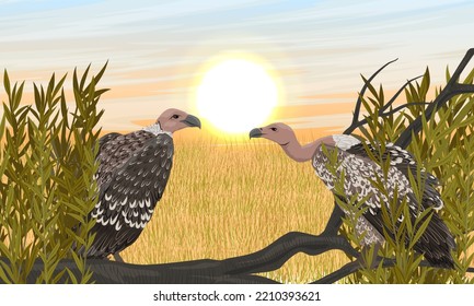 Two large African vultures sits on the branches of a fallen tree in the savannah. Dawn in Africa. wild carrion birds. Realistic vector landscape
